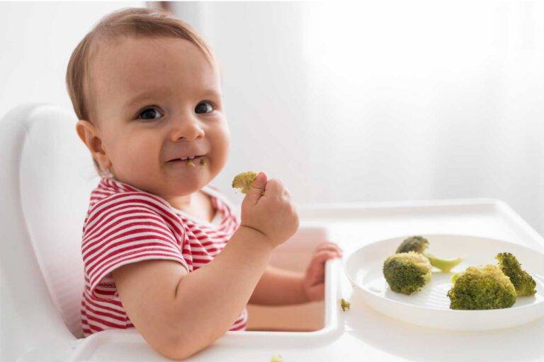 Alimentación Complementaria en Bebés: Guía Completa para Padres